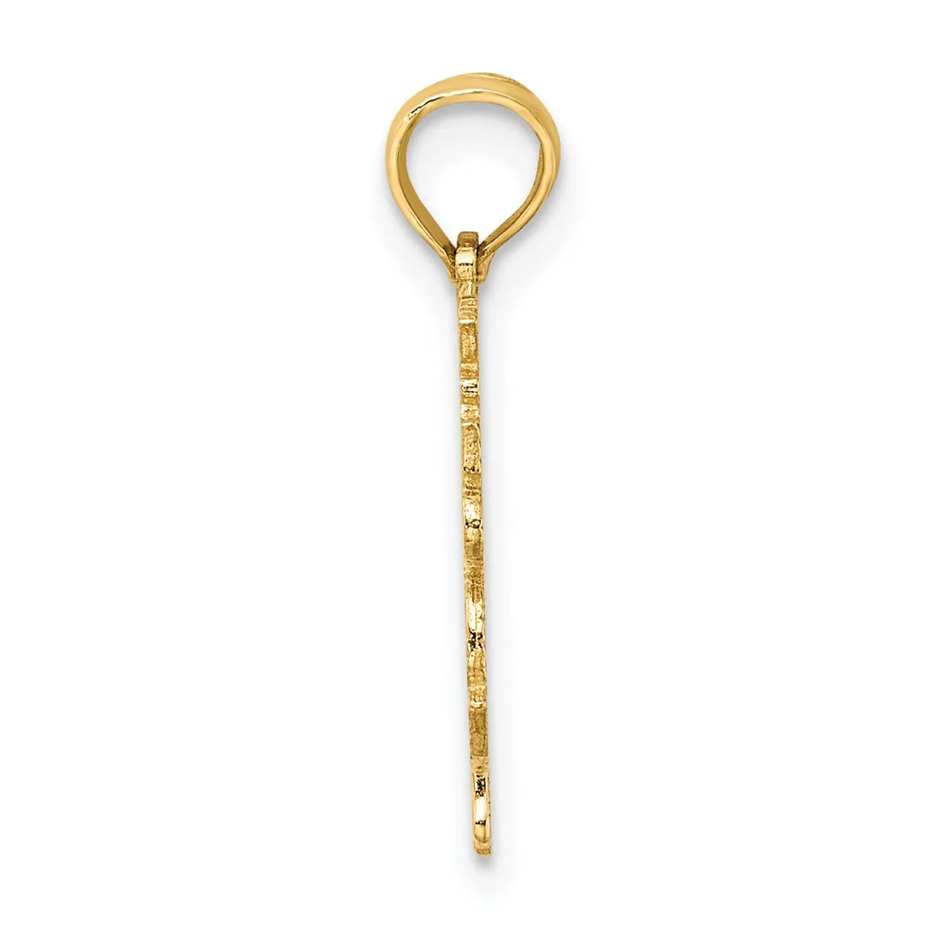 14K Yellow Gold Polished Textured Finish 100% Zodiac ARIES Charm Pendant
