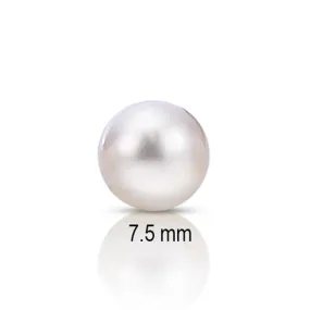 7.5mm Premium Japanese Akoya Add-A-Pearl