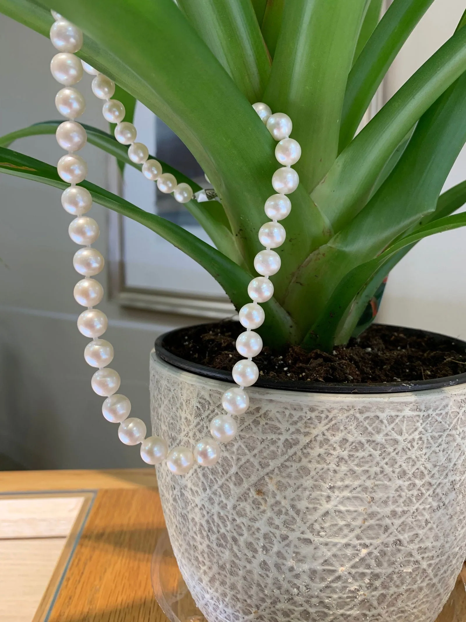 Freshwater Pearl Necklace