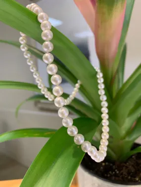 Freshwater Pearl Necklace