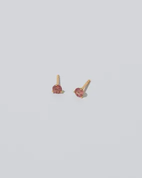 Martini Stud Earrings - Petite Coral Sapphire