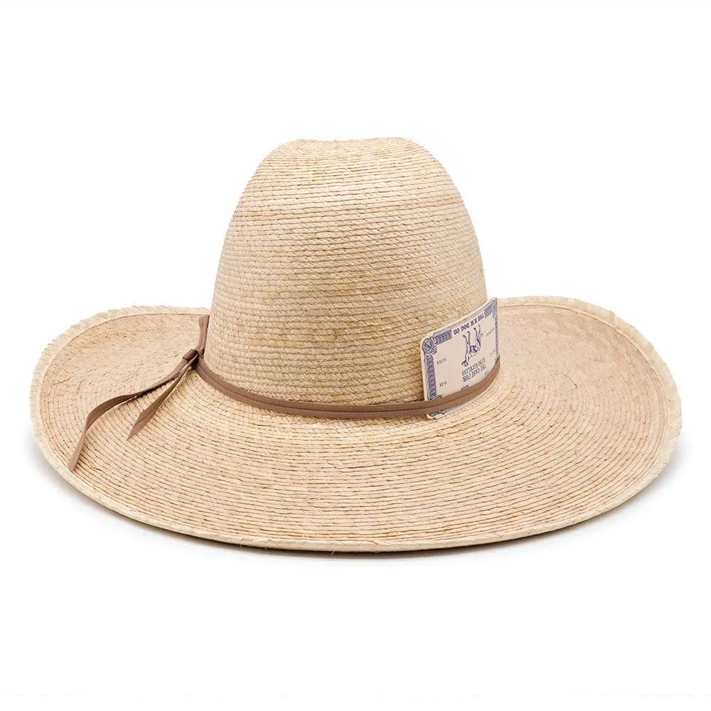 PALM MEXICAN HAT