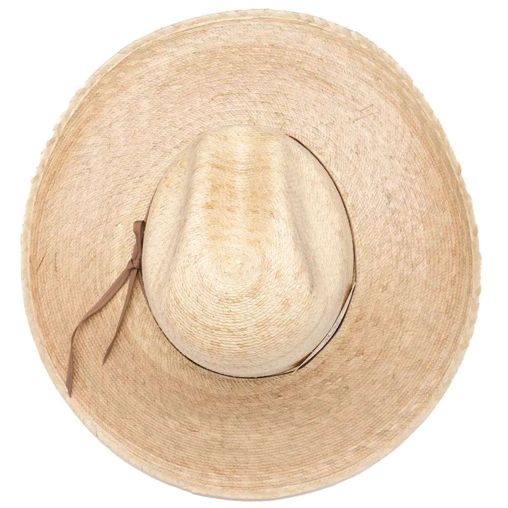 PALM MEXICAN HAT