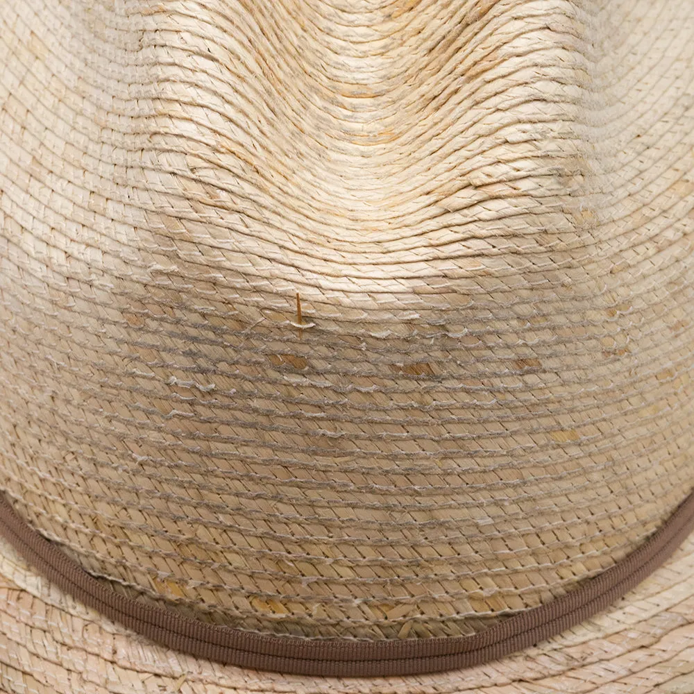 PALM MEXICAN HAT