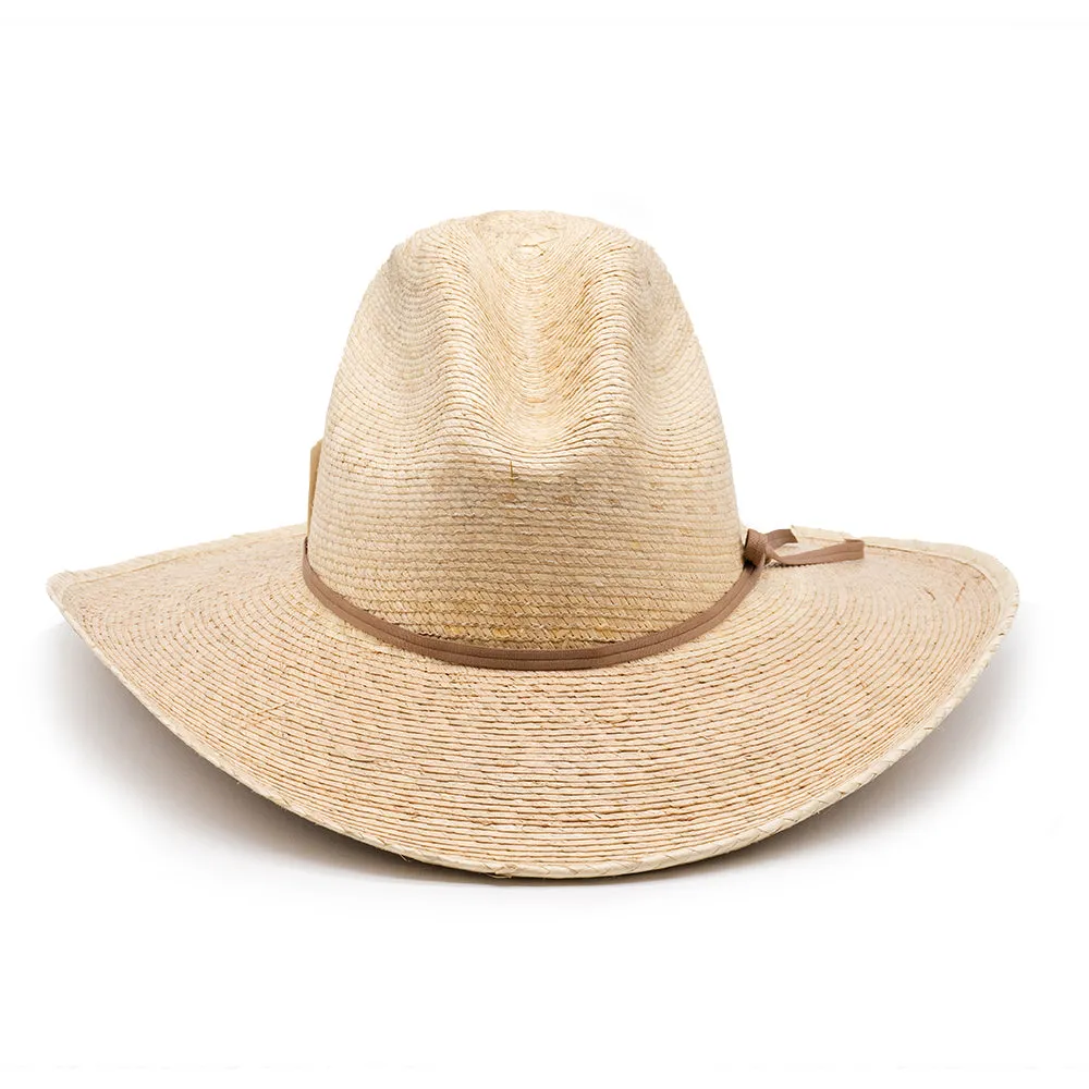 PALM MEXICAN HAT