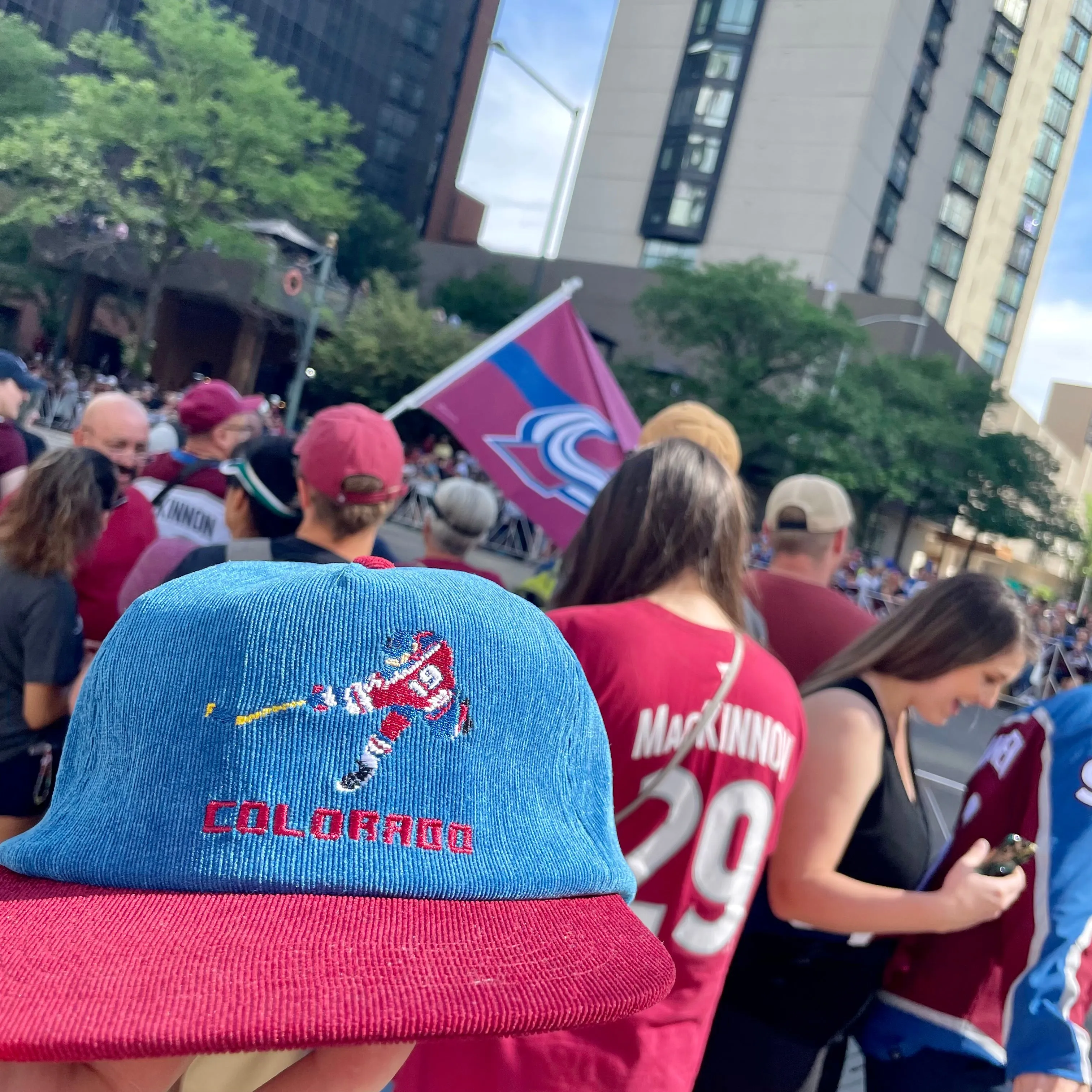 Tecmo Colorado Sakic 8 Bit - Hat